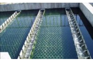 【干貨】生物濾池為什么一受沖擊氨氮去除率就會(huì)下降？